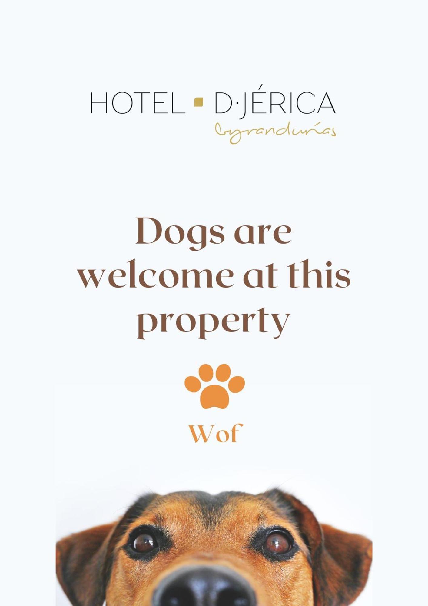 Hotel De Jérica Kültér fotó